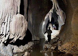 Archivo:Expedition is in progress in Meghalayan Caves