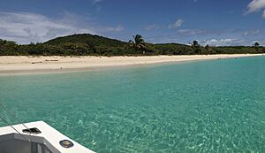 Archivo:Flamenco beach