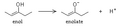 Formation of Enolate
