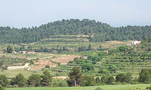 Vista parcial de Fuente Carrasca.