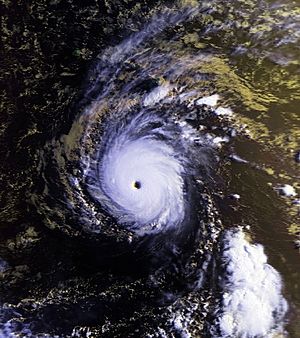 Archivo:Hurricane John 23 aug 1994 1739Z