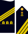 Infmaridivi09