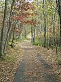 Inspiration Peak Path