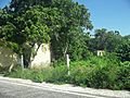 Kuncheilá (Tekal de Venegas), Yucatán (01)