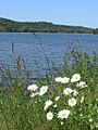 Lake eucha