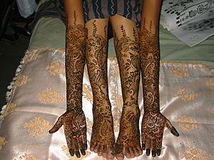 Archivo:Mehndi