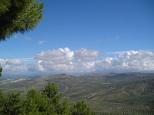 Archivo:Paisaje sabiote