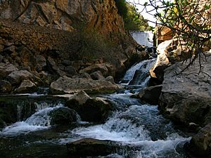Archivo:Parque Natural Sierra de Cazorla Curso alto del río Guadalquivir - Cerrada del Utrero