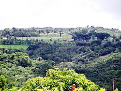 Perdizes- Minas Gerais - Brasil - panoramio.jpg
