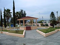 Plaza villa de cazarez cocula.JPG