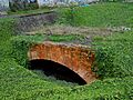Puente Eje Ambiental
