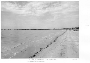Archivo:Queensland State Archives 5294 Lake Numalla Currawinya Hungerford District January 1955