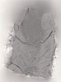 Radiogramme de contact de la pechlende avec ses hydroxydes d'uranium.
