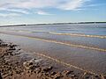Ramallo beach2