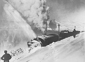 Archivo:Rotating snowplow on Bergensbanen