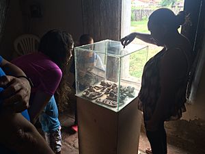 Archivo:Sala Arqueologica