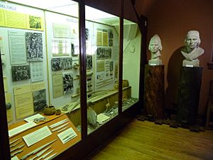 Archivo:Sala del Museo de la Patagonia