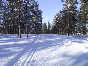Archivo:Ski trails