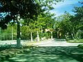 Sodzil Norte, Yucatán (02)