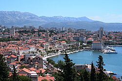 Split 080620-133710-IMG 0968x.jpg