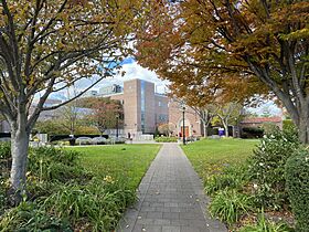 St. Francis Hospital, Flower Hill, NY November 11, 2023 XI.jpg