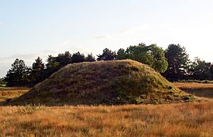 Archivo:Sutton Hoo Burial Mound cleaned