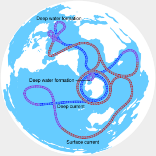 Thermohaline circulation