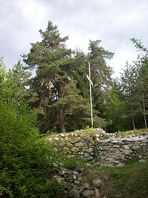 Archivo:Tzar Shishman of Bulgaria fortress Samokov