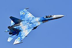 Archivo:Ukrainian Air Force Sukhoi Su-27P Flanker (29583343448)