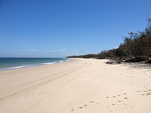 Archivo:Woorim Beach, Bribie Island, Queensland