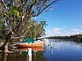 2020-02-29 Sussex Inlet, NSW 03