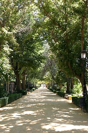 Archivo:Alamedas de Lorca
