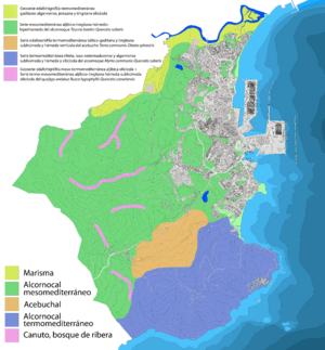 Archivo:Algeciras mapa de unidades de vegetación