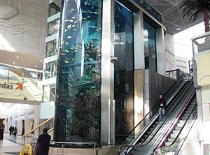 Archivo:Aquarium in shopping mall, Kaunas