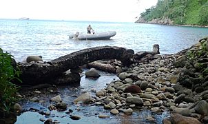 Bahía Chatham Isla del Coco
