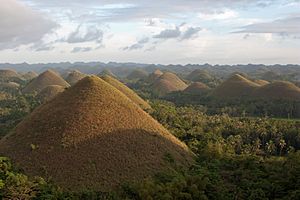 Archivo:Bohol Hills, Chocolate Hills, Philippines