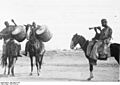 Bundesarchiv Bild 108-212-40, Kamerun, Musiker in Mora