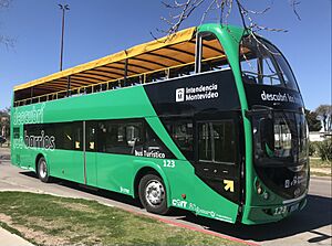 Archivo:Bus Turístico de Montevideo en 2021