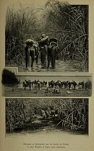 Archivo:Caballos abrevando en las orillas del lago Chad (1900)