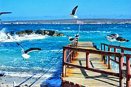 Caleta de Punta de Choros, Coquimbo. Chile.jpg