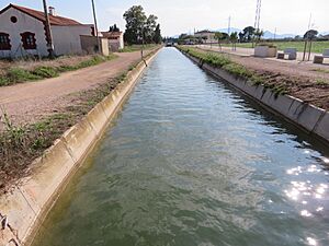 Archivo:Canal Nou de Camarles, Delta del Ebro