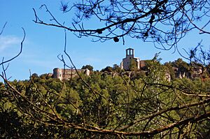 Castell de Vilademàger (La Llacuna) - 1.jpg