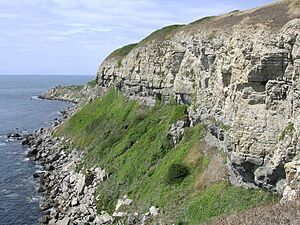 Archivo:Cliffs east of St Albans Head