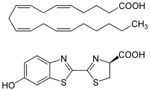 Archivo:Comparison firefly luciferin arachidonic acid