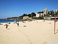 Coogee Beach view