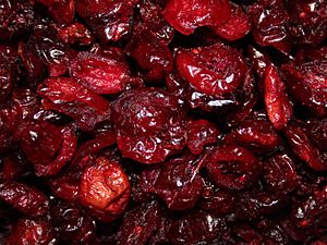 Archivo:Dried cranberries