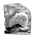 Esfinge salobral francia