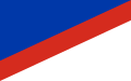 Flag of Concepción Department
