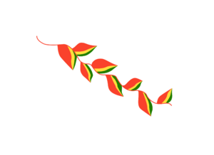 Archivo:Flag of the Patujú flower