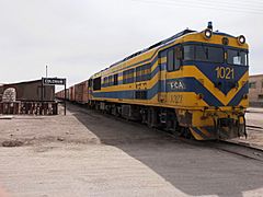 Freight Train Colchani 2013